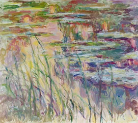 Refleksjoner over vannet, 1917